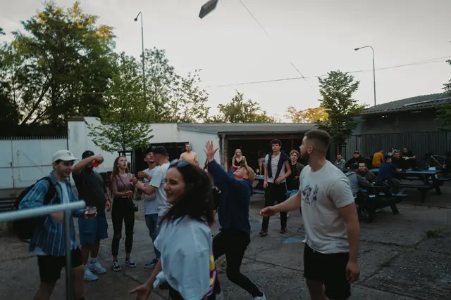 Berrydog pop-up — fotografie