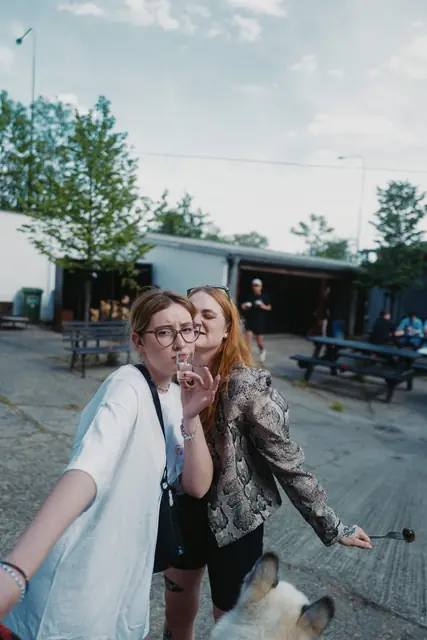 Berrydog pop-up — fotografie